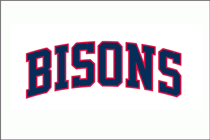 Buffalo Bisons 1987 Jersey Logo v2 iron on transfers for T-shirts